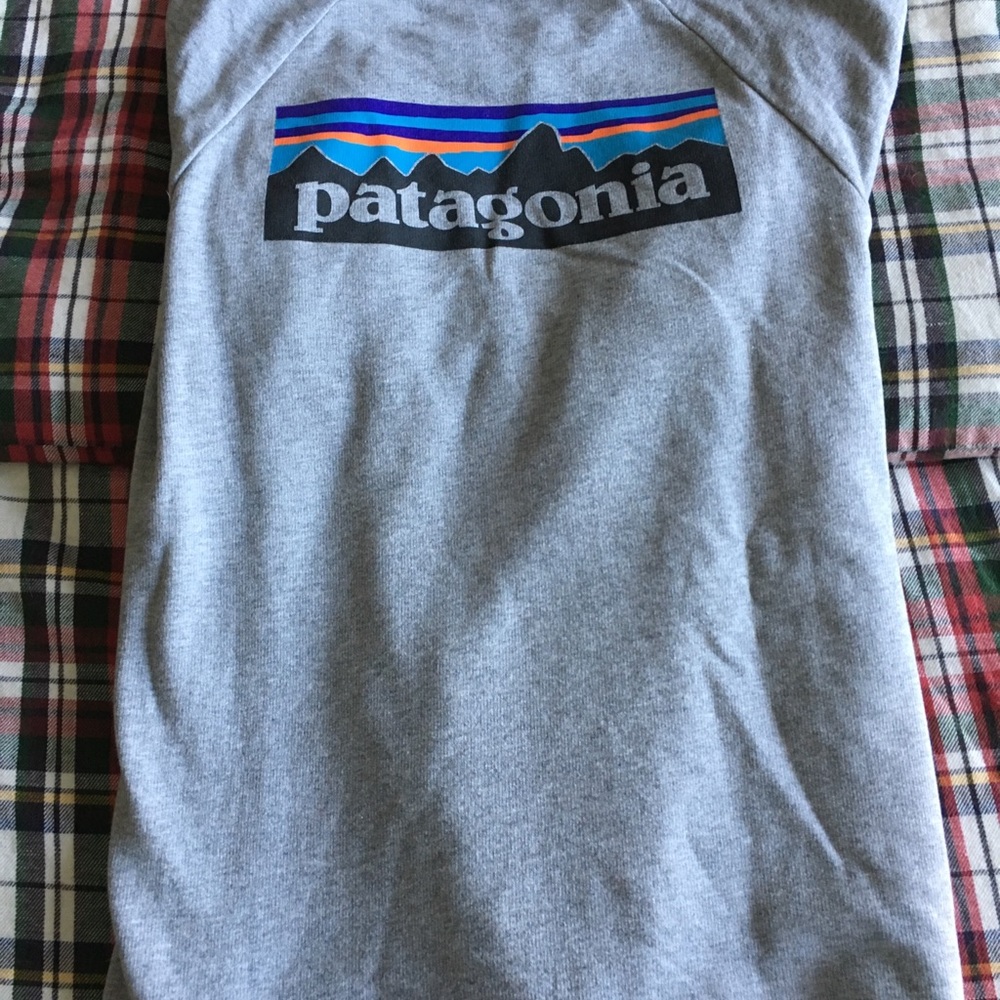 Patagonia sweatshirt size small